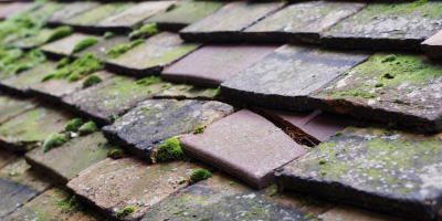 Toft roof repair costs